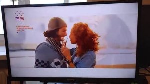 Телевизор Sony KDL32RD303