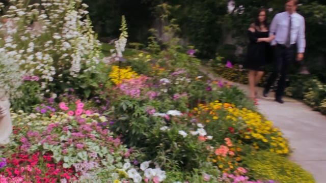 Little Black Dress смотреть онлайн