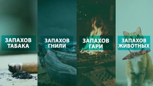 Как убрать запах гари