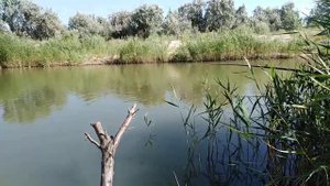 Рыбалка в Кучугурах...