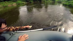 Сплав по реке УСТЕ. Трофейные голавли и язи