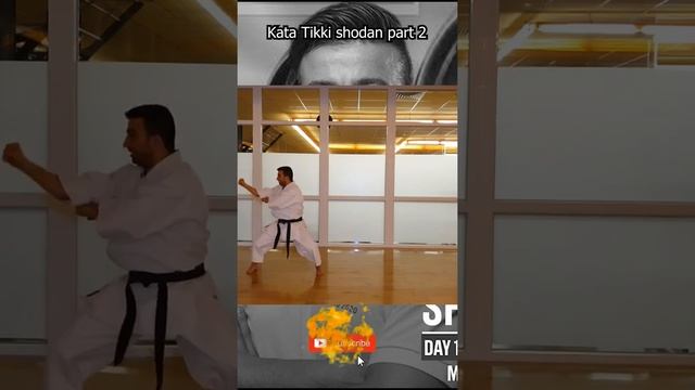 Kata tekki shodan part 2  karate shotokan