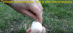 Попробовал сварить куриное яйцо в раскаленном песке. Показываю, что получилось