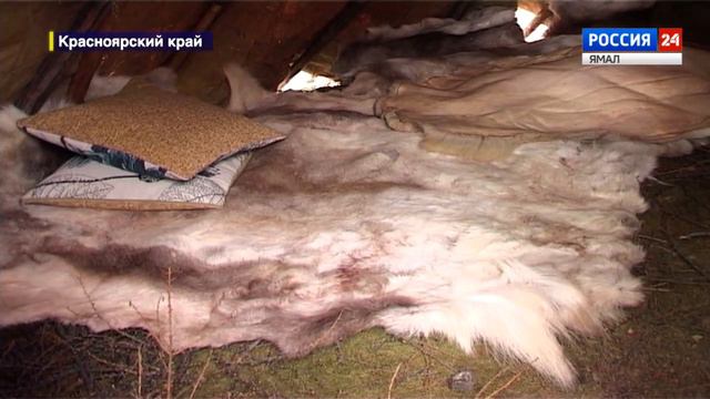 Арктика расширяет границы: часть Эвенкии приравняли к заполярной зоне смотреть онлайн