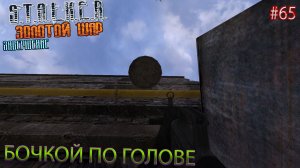 БОЧКОЙ ПО ГОЛОВЕ | S.T.A.L.K.E.R. ЗОЛОТОЙ ШАР ЗАВЕРШЕНИЕ | Серия 65