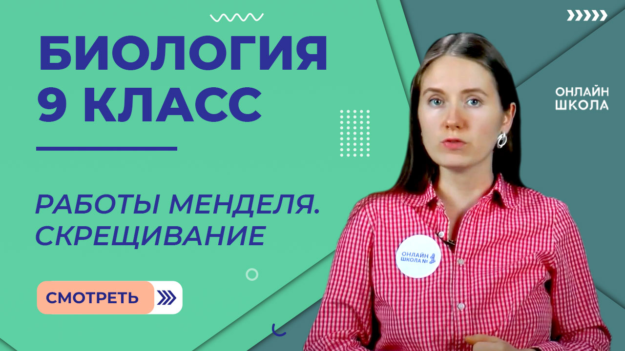 Работы Менделя. Скрещивание. Урок 18. Биология 9 класс