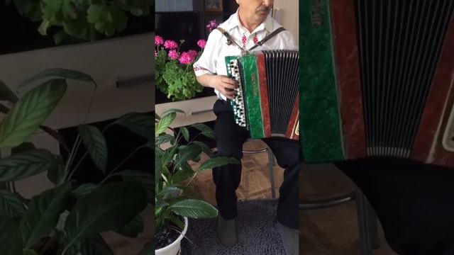 Константин Зайнетдинов  - Мӱндыр корно