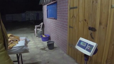 Мясо,Сало,голяшка,ошеек,вырезка,лопатка,мякоть без кости, рёбрышки мясные.