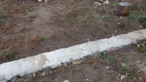 Сделал фундамент под сарай курам.