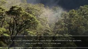 Ибрахим аль-Заят. Сура 49 «аль-Худжурат»