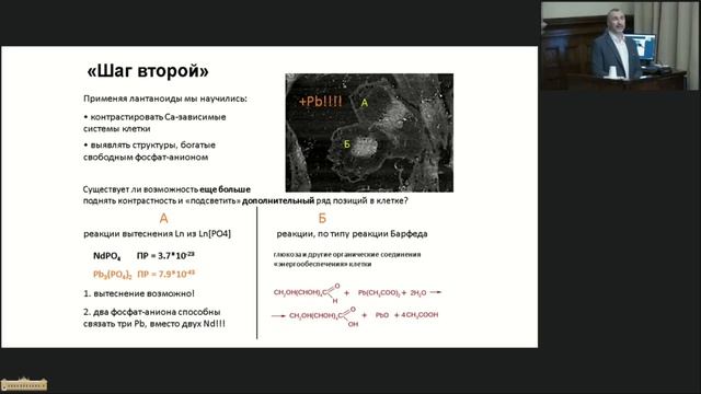 Реактивы для сканирующей микроскопии глаз смотреть онлайн