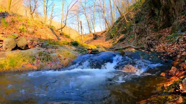 1 HOUR BUDDHA FLUTE MUSIC смотреть онлайн