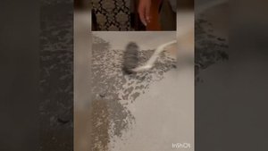 Изготовление столешницы с применением микроцемента Wall2Floor от итальянской фабрики NOVACOLOR