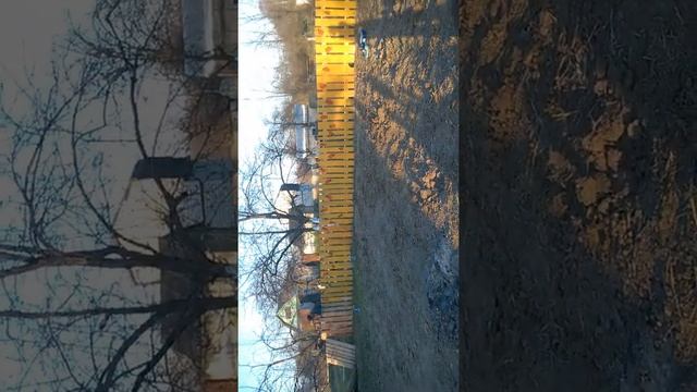 забор из поддонов за 500рублей смотреть онлайн