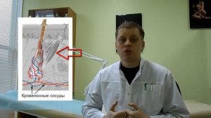 Cтроение корня волоса