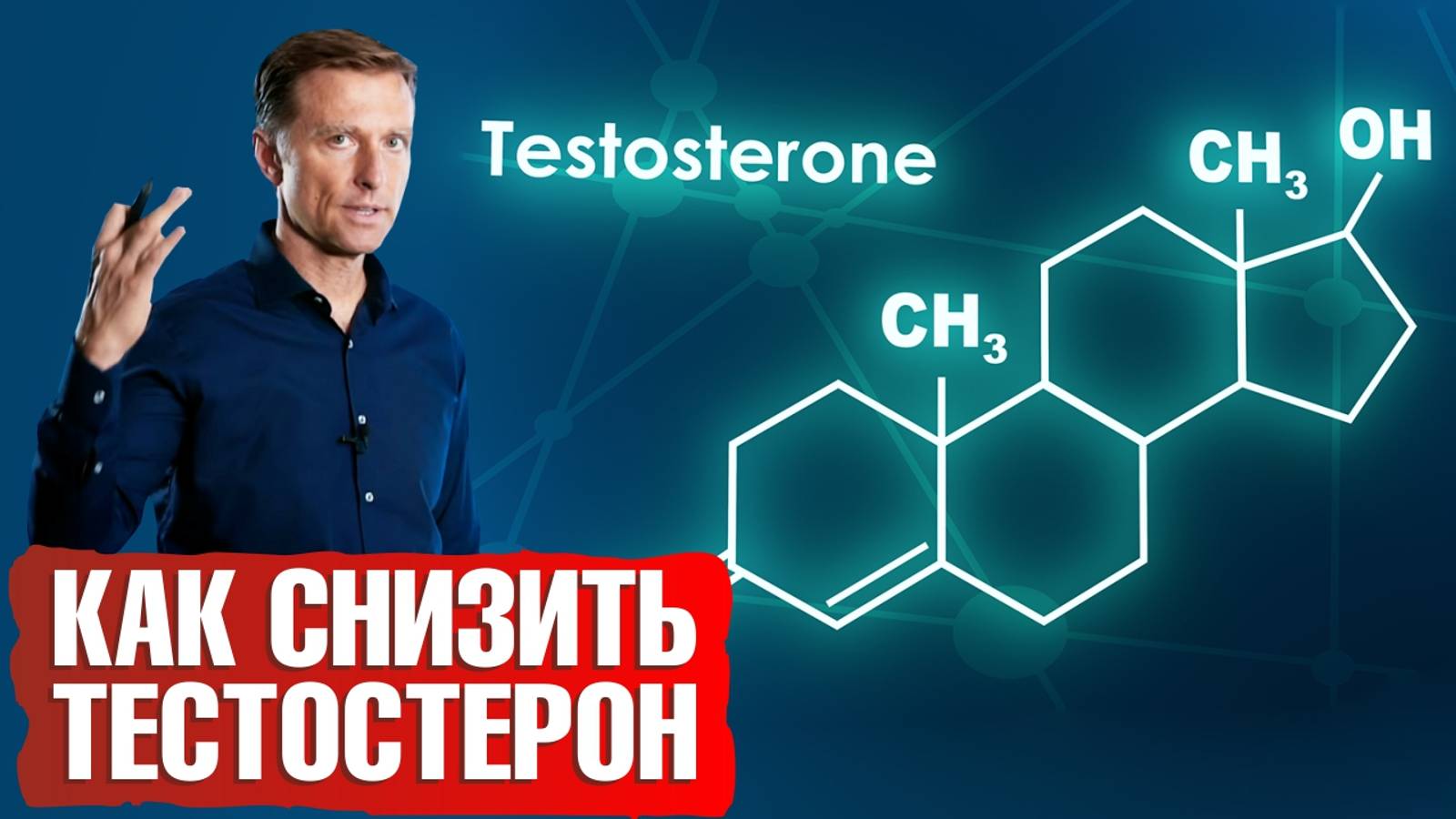 Как снизить тестостерон. 8 натуральных средств для снижения уровня андрогенов.