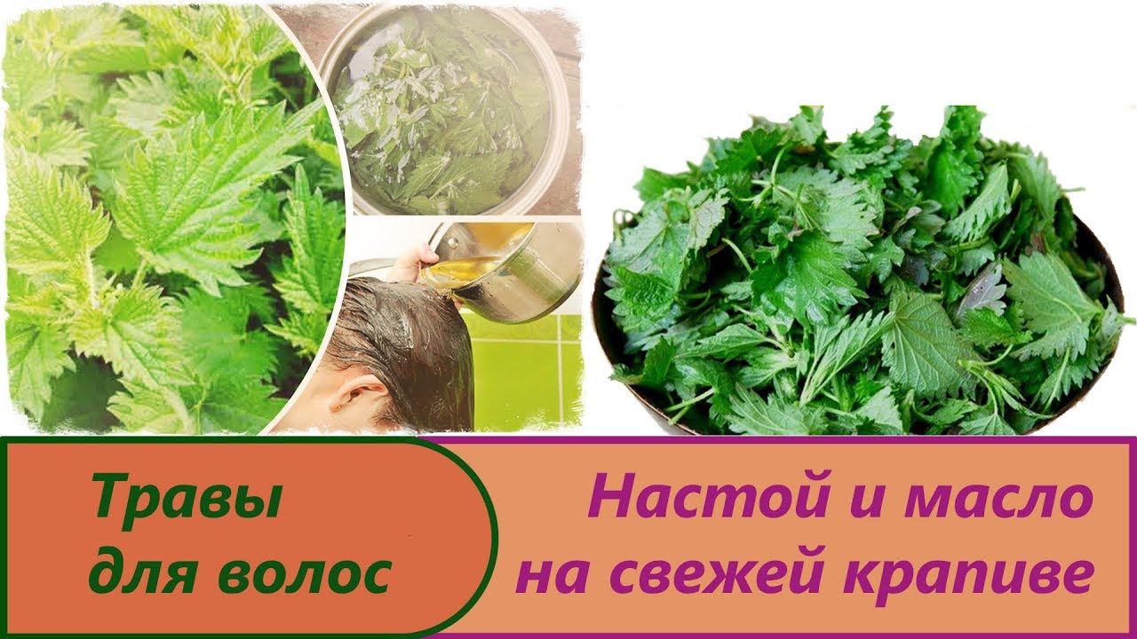 Купить Масло Для Волос Крапива