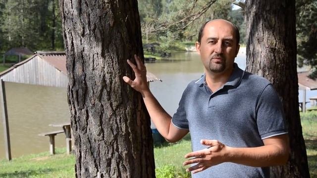 Как сэкономить при покупке участка???