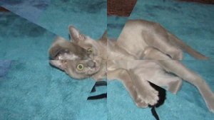 Бурма  любовь моя