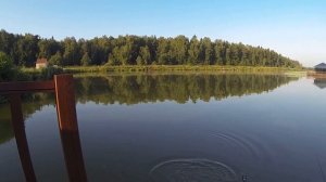 Кубинка ловим карася и карпа