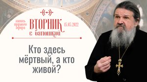 Скверное слово убивает всё! Вторник с Батюшкой. Беседа о. Андрея 15.03.2022