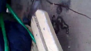 Эрика и Адеев за городом