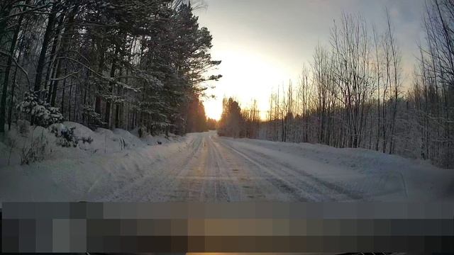 4К видео Красота зимнего леса