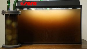 sera crystal clear Professional | Product test with Dieter Untergasser