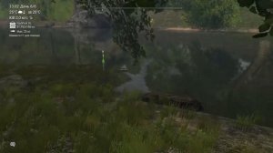 Оливковый сом и длинноносый панцирник на реке Нейеррин Fishing planet