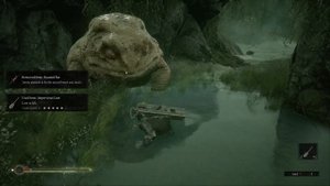 Mortal Shell all roasted rat skins from Gorf