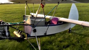 небесная блоха рышково