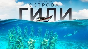 Подводный мир: плаваем с ЧЕРЕПАХАМИ и ныряем к статуям  / Аскеза в кедах