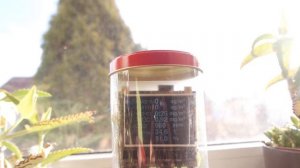 Как растение на свету поглощает углекислый газ, но при стрессе перестаёт