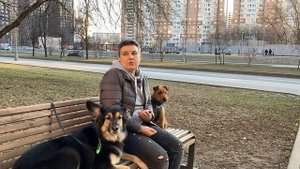 Что случилось, Усы? Как избежать конфликтов на прогулке с собакой?