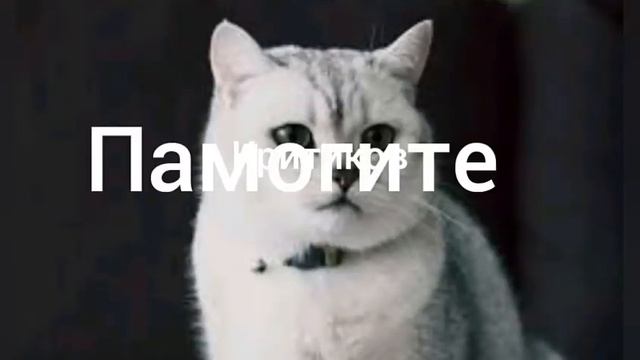 Давайте поможем финансовая поддержка бедным годиком номер карточки 54 69 5.000 1947 4073 смотреть онлайн