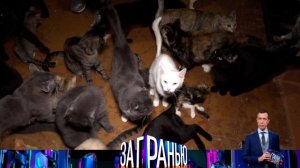 За Гранью Сегодняшний выпуск 16 октября 2023 на НТВ смотреть сюжет передачи