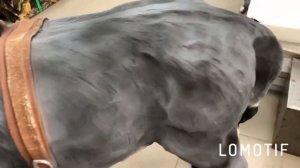 САДОВАЯ ФИГУРА ОСЕЛ БОЛЬШОЙ С ХОМУТОМ Н-96СМ, L-100СМ