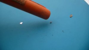 Как правильно выбрать пинпоинтер.