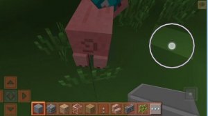 Свинья
Часть 1