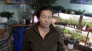 Приняла Эстафету от Анны Пирматовой и передаю дальше.