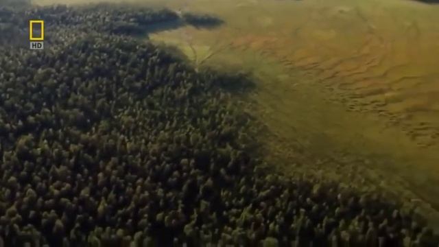 Эко.проект "истребление редких видов животных и постепенное исчезновение растительного мира" смотреть онлайн