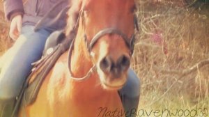 At the beginning with you.