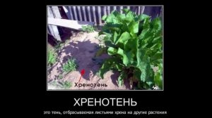 Дачные приколы