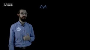 Строение стебля. Урок 9. Биология 6 класс