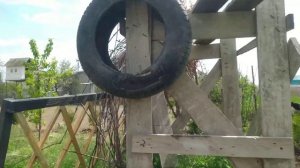 2 Питбуля | Питбультерьер 11 месяцев | Мама и Щенок | Pitbull video | Staffordshir