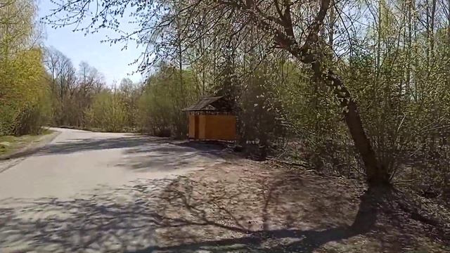 Утки на голубом проточном озере Казань май 2022 смотреть онлайн