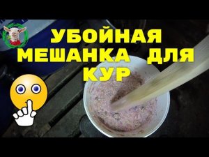 Бомбовая мешанка для кур