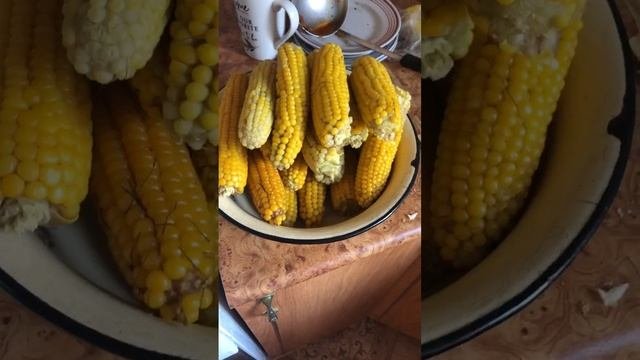 Сладкая кукуруза ?