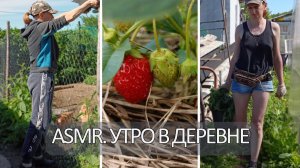 Утро в деревне. Огород и другая рутина. ASMR