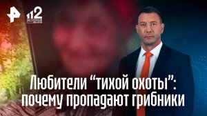 Куда пропадают грибники: несколько пожилых мужчин заблудились в лесу – поиски "тихих охотников"